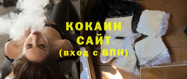 шишки Алексеевка