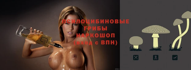 шишки Алексеевка