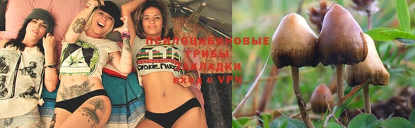 шишки Алексеевка