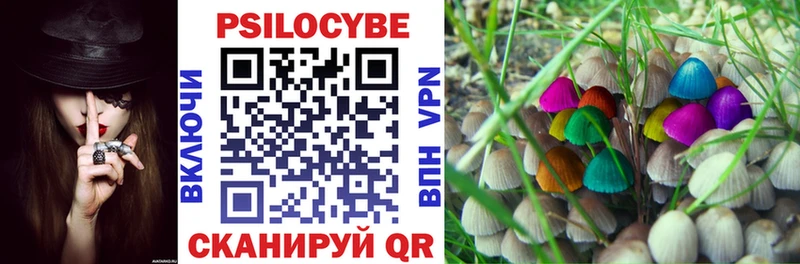 что такое наркотик Калач-на-Дону Псилоцибиновые грибы мухоморы
